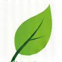 An icon of a single tree leaf.